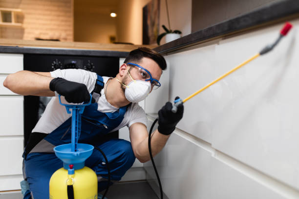 Best Wildlife Control Services  in Manchester, MI