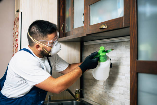 Best Rat Extermination Near Me  in Manchester, MI
