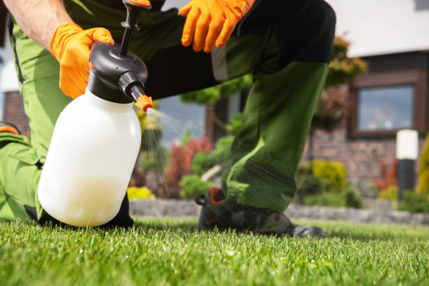 Best Cockroach Control Services  in Manchester, MI