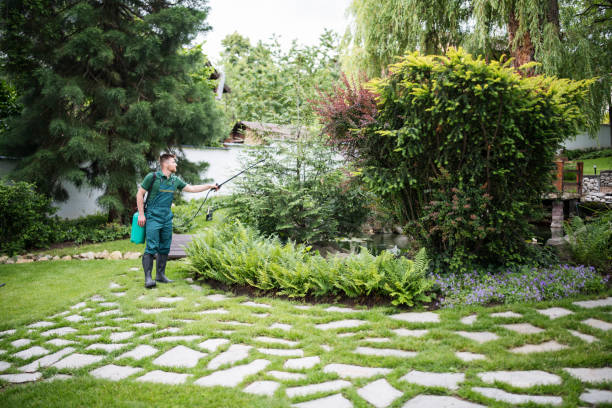 Best Best Pest Control Near Me  in Manchester, MI