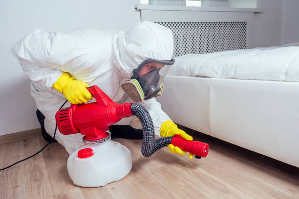 Best Residential Pest Control  in Manchester, MI