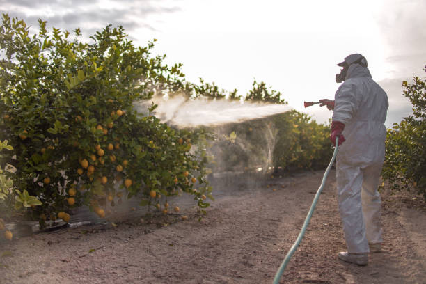 Pest Prevention Services in Manchester, MI