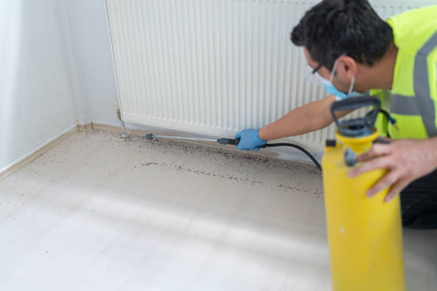 Best Ant Control Services  in Manchester, MI