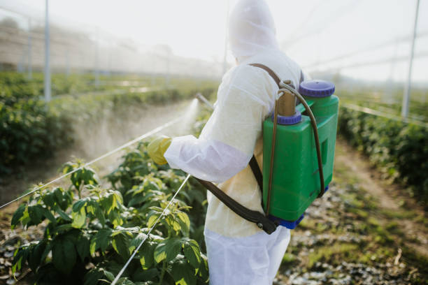 Pest Control for Restaurants in Manchester, MI